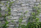 Borah Creekgreen-walls-4.jpg; ?>
